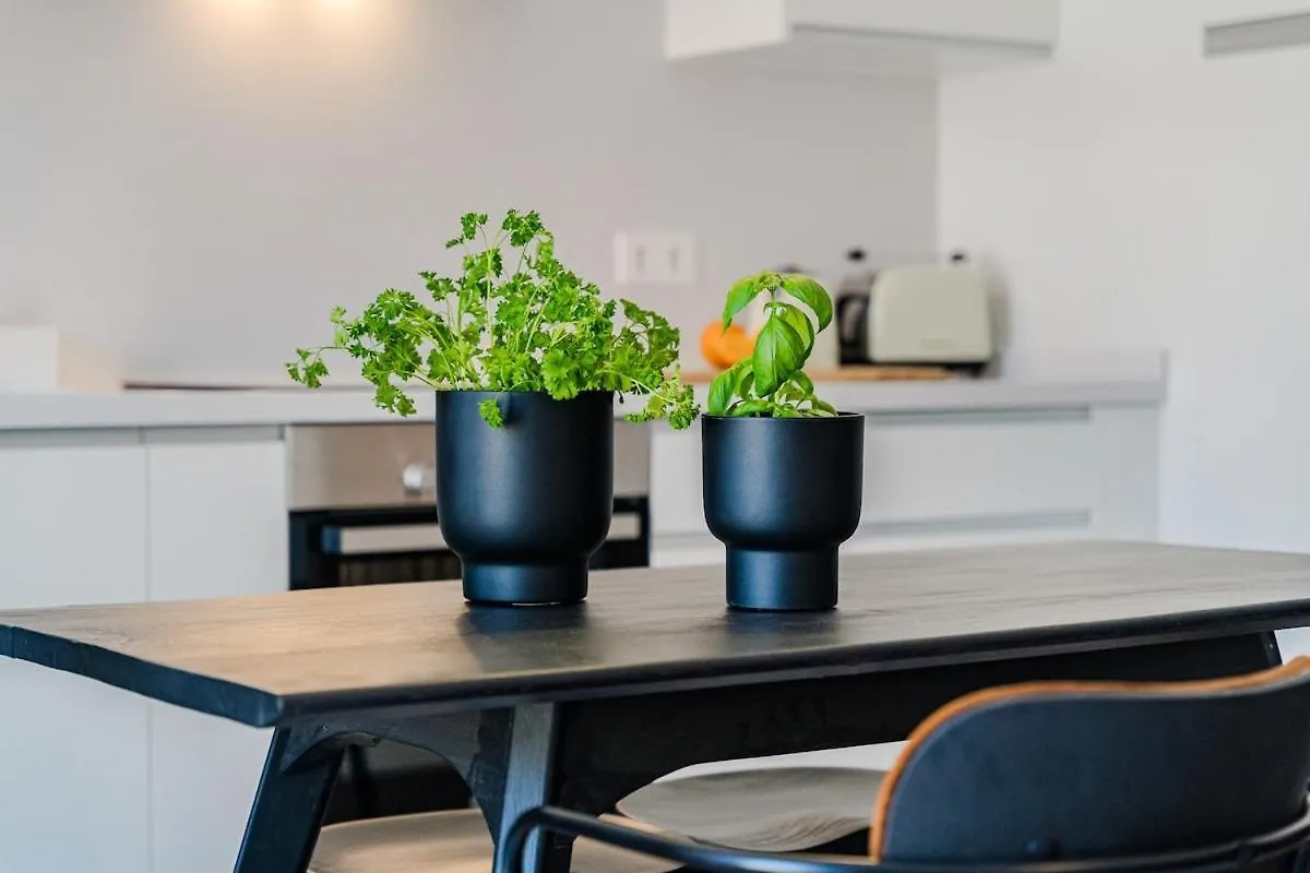Cozy 2-Br Penthouse With Private Rooftop Terrace غيا ذي إسورا